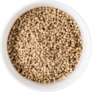 White Whole Sorghum Grain
