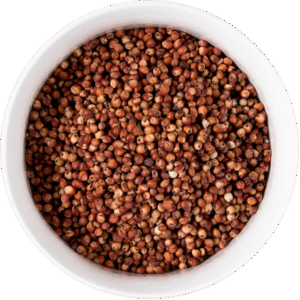 Burgundy Whole Grain Sorghum